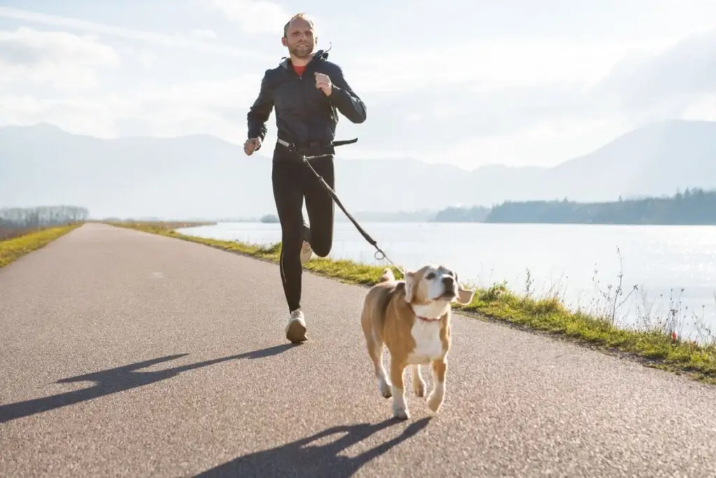 7 atividades físicas para praticar com o cachorro