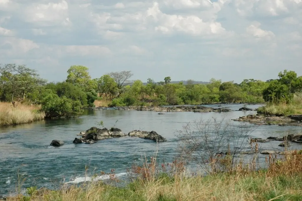 3 destinos exclusivos para explorar a vida selvagem africana