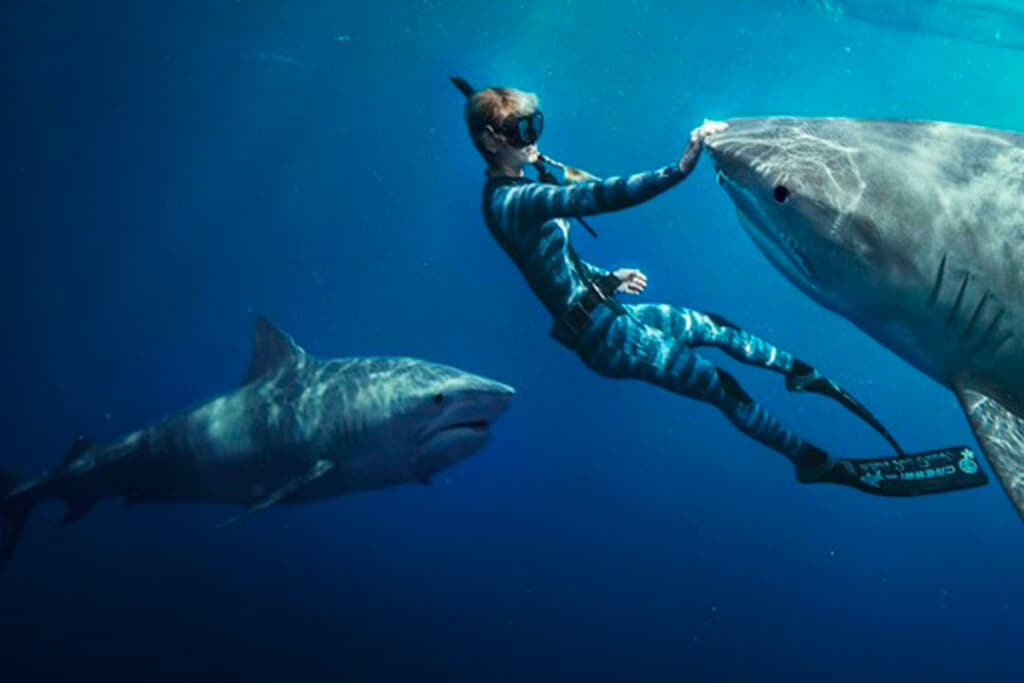 5 lançamentos da Netflix para a semana de 30 de junho a 6 de julho