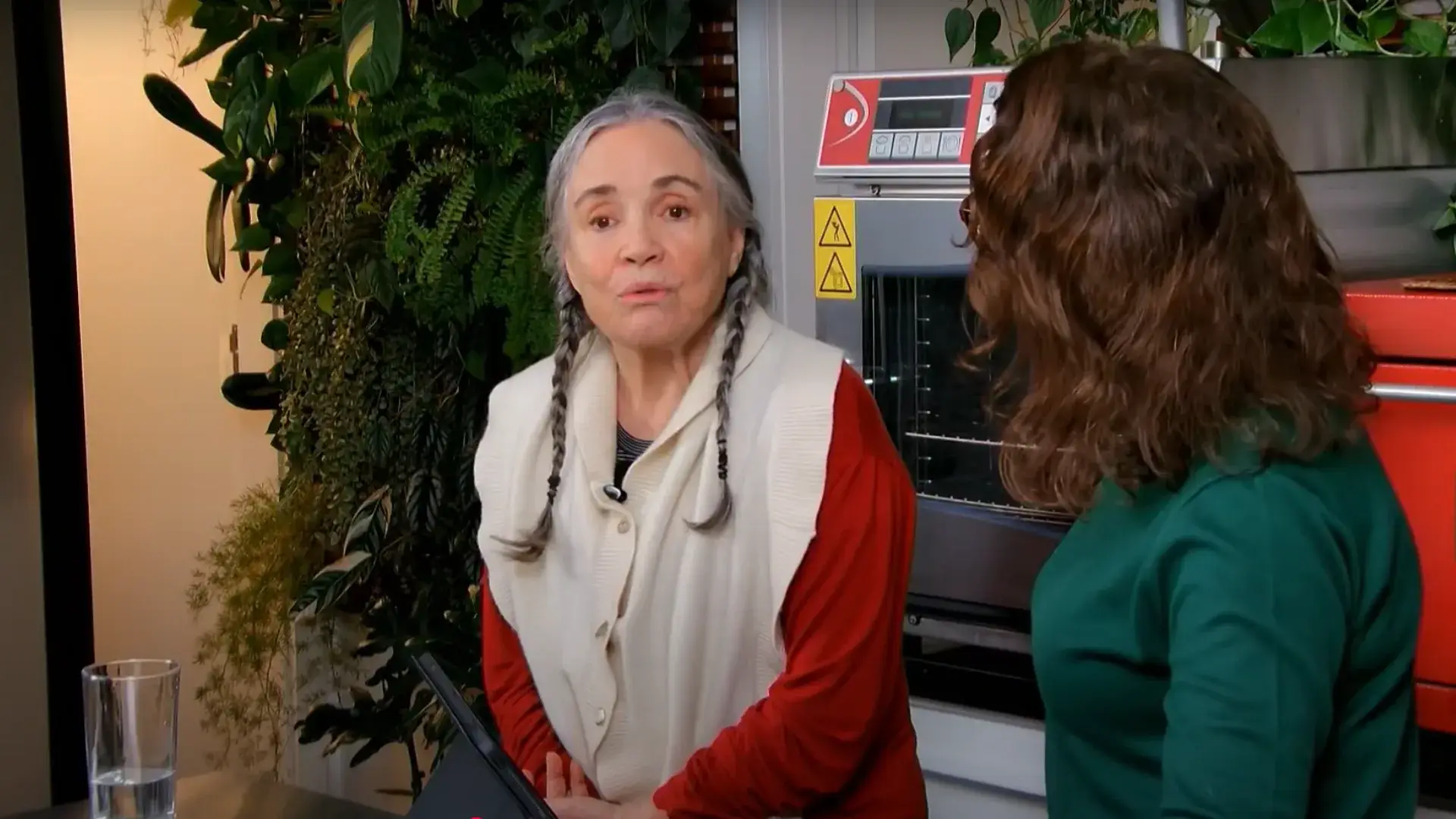 Regina Duarte diz tudo o que pensa sobre remake de Vale Tudo