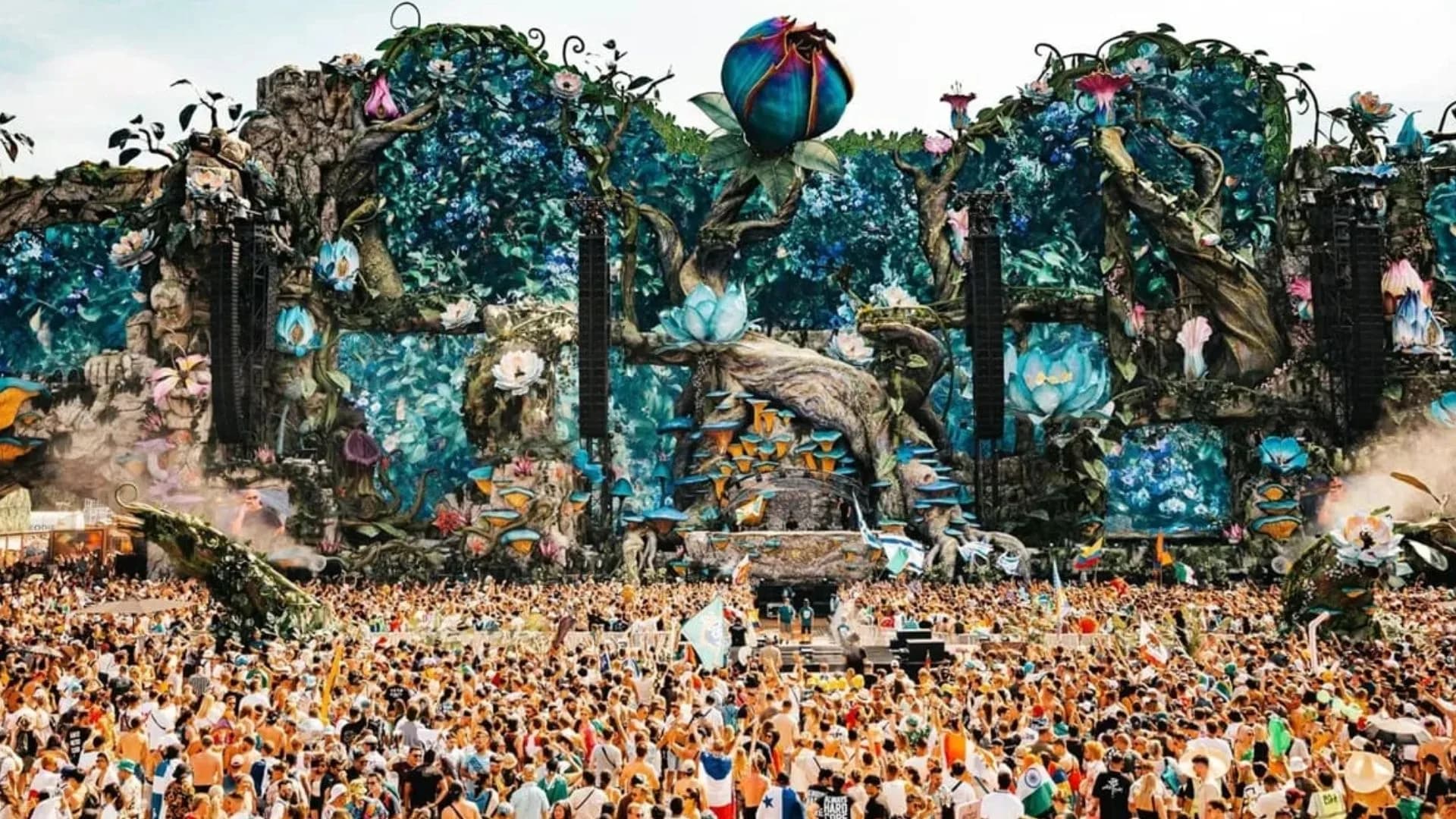 Tomorrowland oferece curso de capacitação gratuito para empregos temporários
