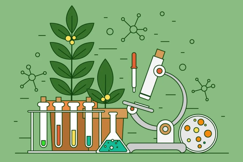 Veja os temas mais cobrados no Enem nos últimos anos