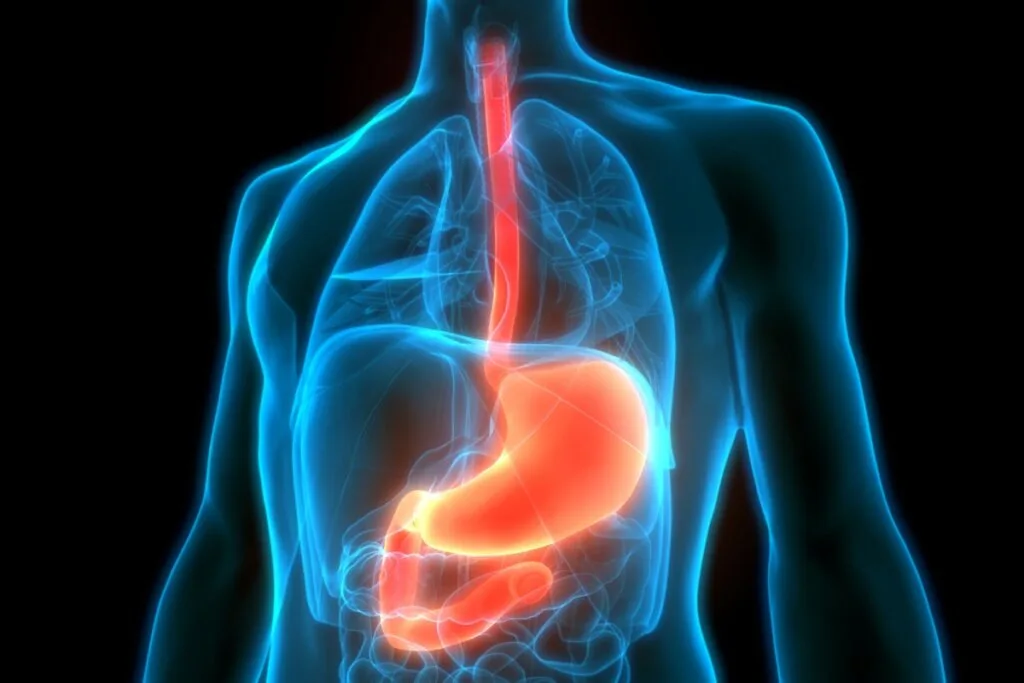 5 mitos sobre a endoscopia para perder o medo do exame