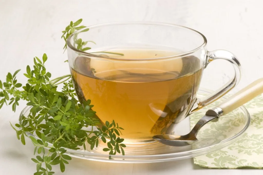 8 benefícios da arruda para a saúde e como usá-la