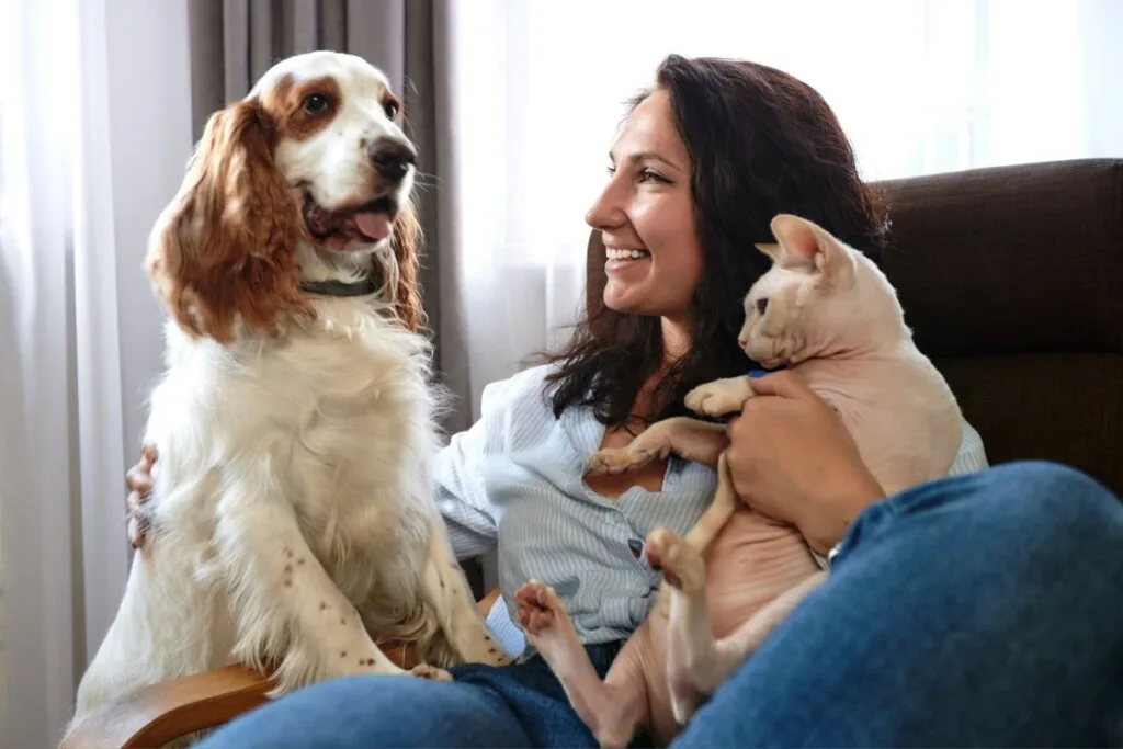 6 dicas para introduzir um cachorro em uma casa com gato