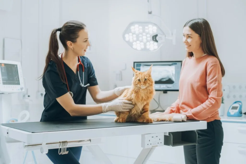 5 mitos sobre os tratamentos de câncer em animais de estimação