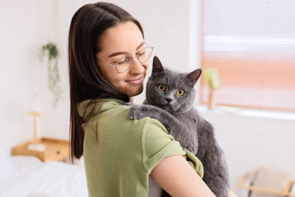 Veja como a castração ajuda a prevenir o câncer de mama em gatas