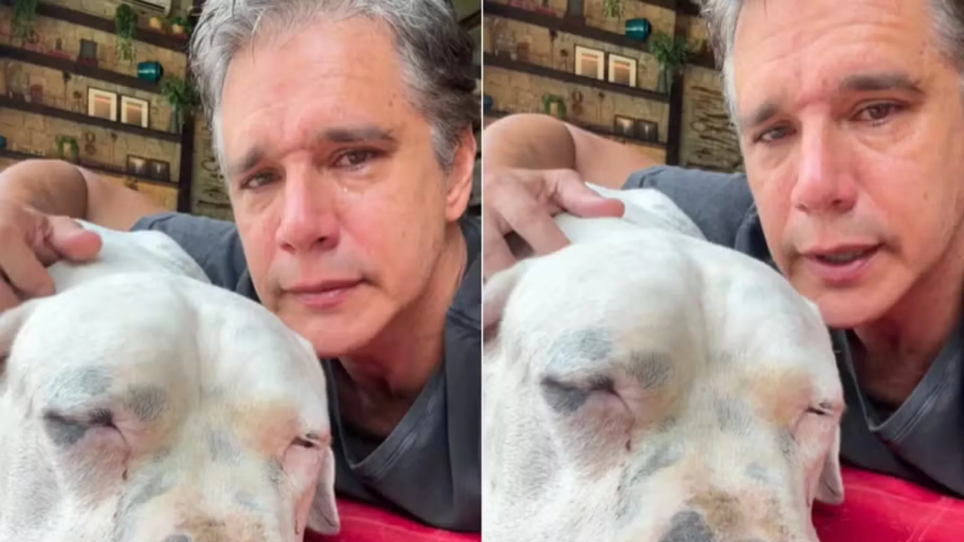 Márcio Garcia se emociona ao revelar que seu cachorro está com linfoma