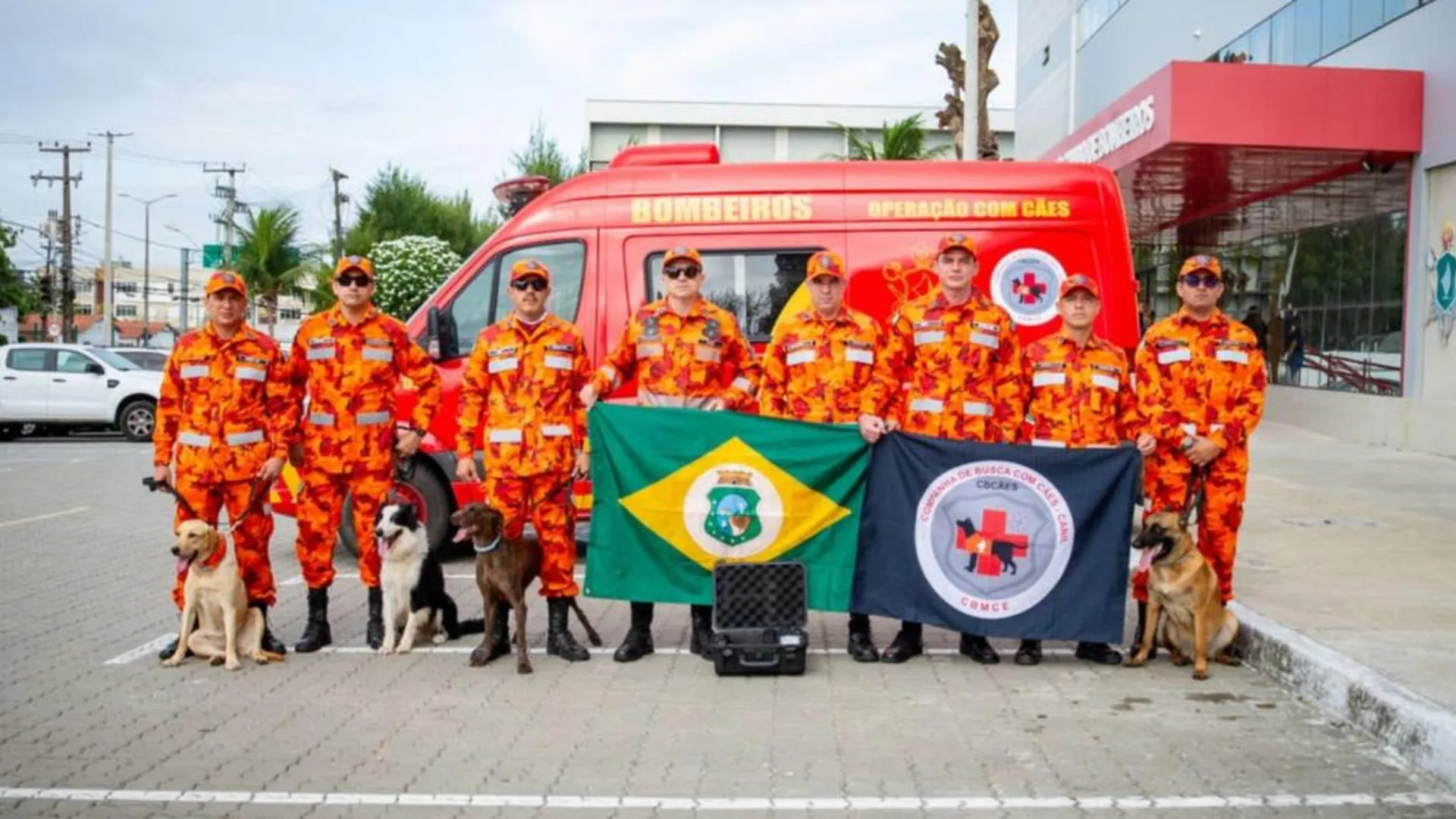 Cadela do Corpo de Bombeiros do Ceará morre durante buscas por crianças no Maranhão