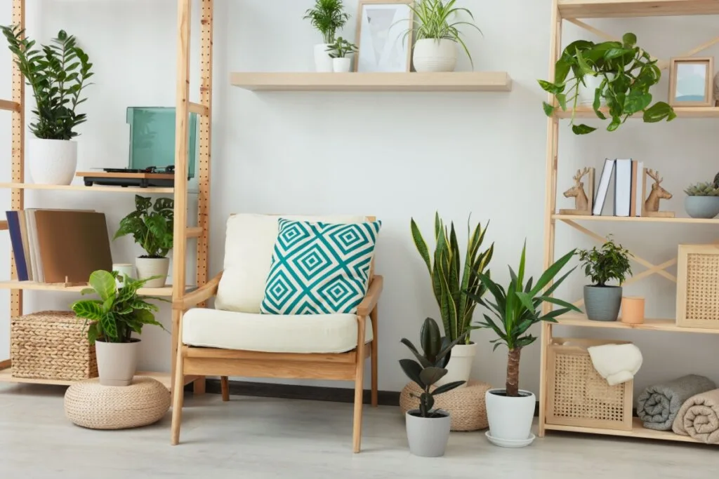5 dicas para usar plantas na decoração da casa