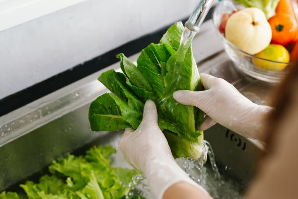 Intoxicação alimentar: veja hábitos que aumentam o risco e como se proteger