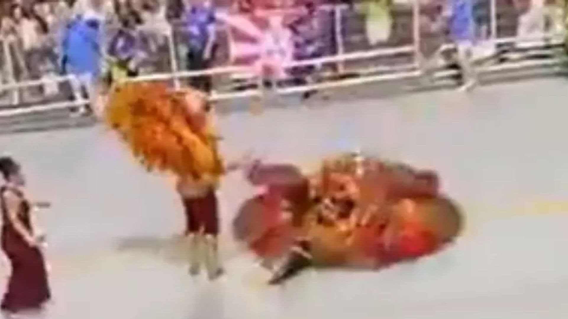 Casal de porta-bandeira e mestre-sala cai durante desfile em SP