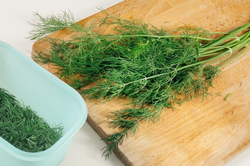 Endro: poderoso aliado da saúde com benefícios que vão além da cozinha