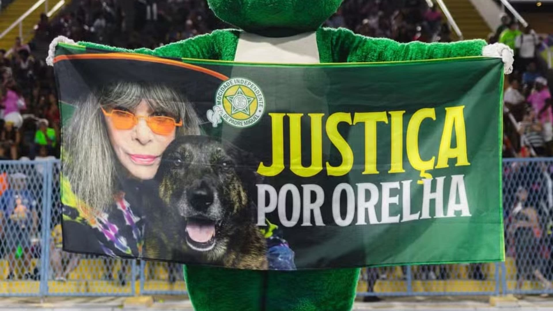 Mocidade pede justiça pelo cachorro Orelha durante ensaio técnico