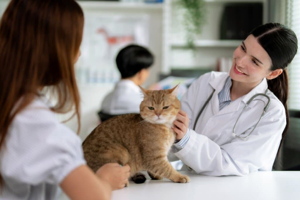 3 doenças causadas por vermes em animais de estimação