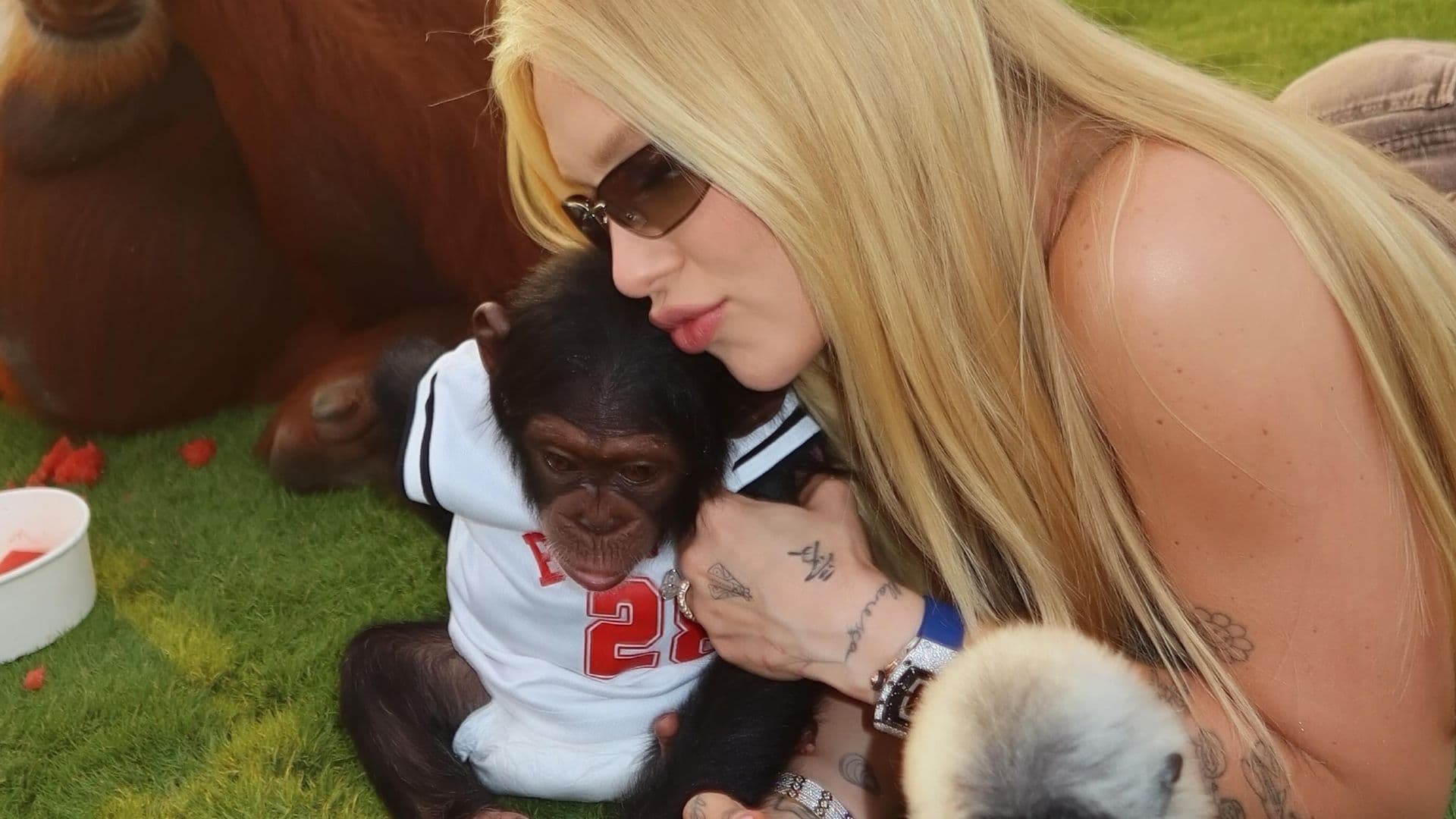 Após ser acusada de r*cismo, Virginia se pronuncia sobre vídeo beijando macaco