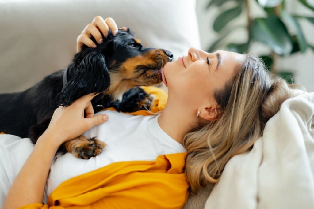 Os Vingadores: 10 nomes para cachorros inspirados nos personagens