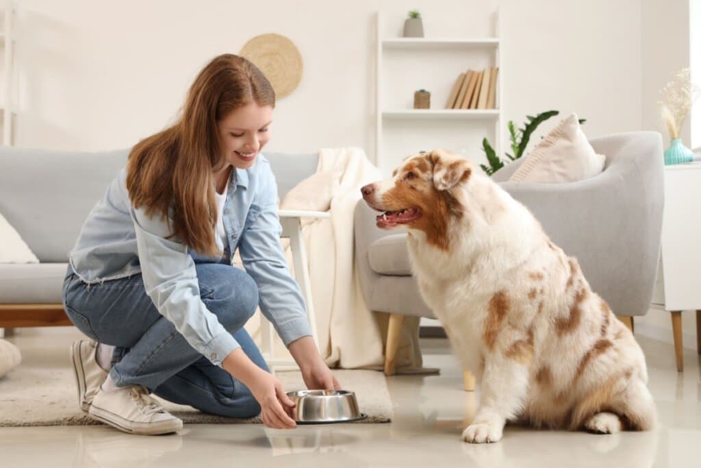 6 dicas para o cachorro comer mais devagar
