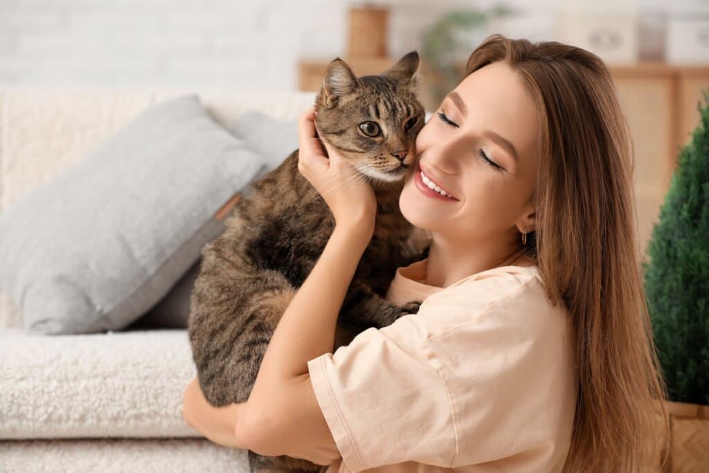 7 dicas para conquistar a confiança do seu gato