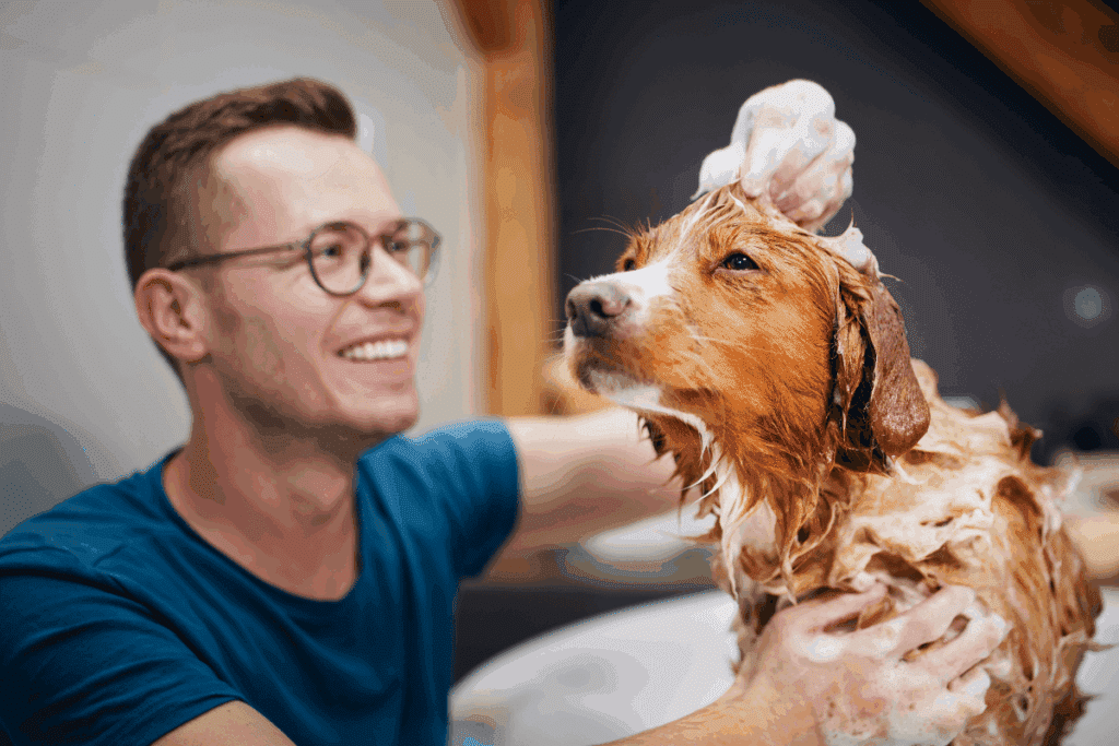 Banho no inverno: 6 dicas para garantir a segurança e o conforto dos animais