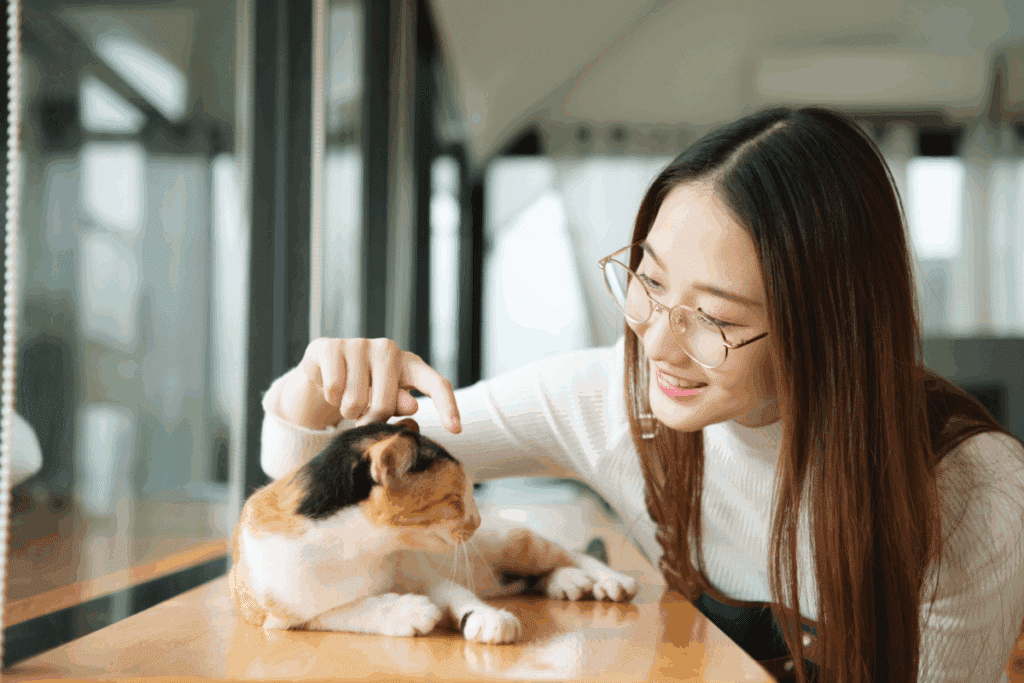 7 lições de vida que aprendemos com cães e gatos