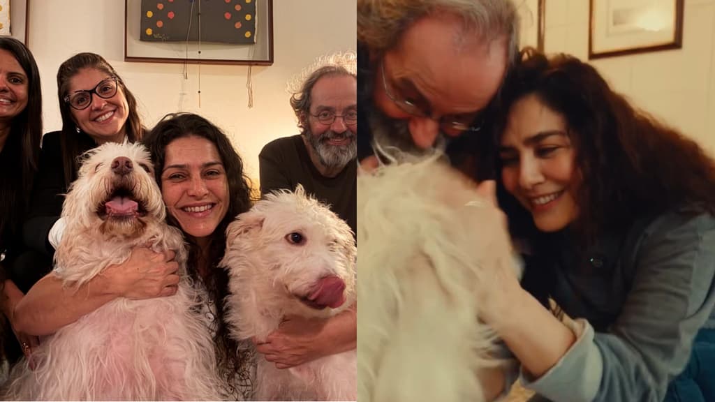 Letícia Sabatella comemora retorno de cachorro após decisão judicial: “Um alívio”