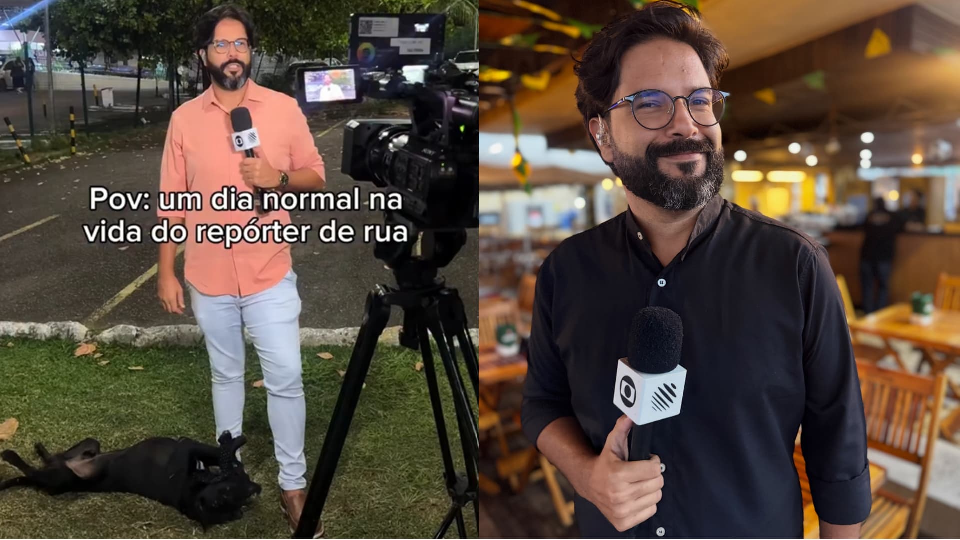 Cachorro desaparecido invade reportagem da Globo e reencontra tutora após vídeo viralizar