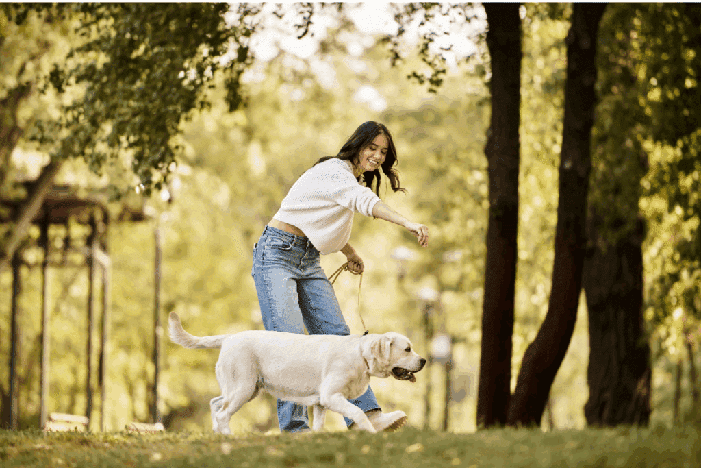 7 dicas para apresentar um filhote para um cachorro mais velho