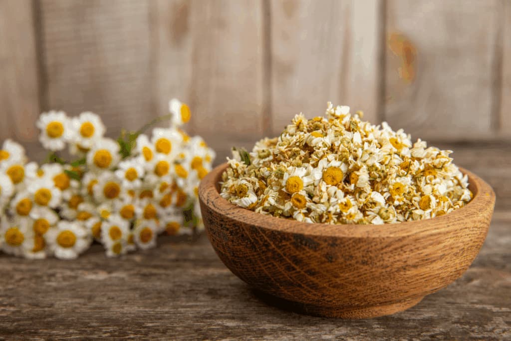 Banho de camomila para a Lua Cheia: aprenda ritual para atrair tranquilidade