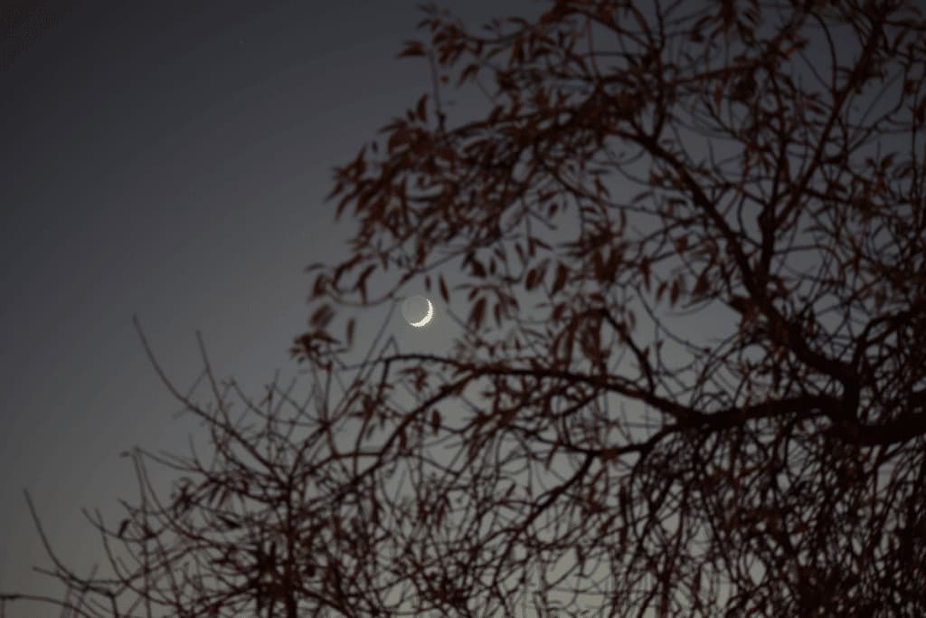 Lua hoje: veja qual é a fase lunar desta segunda-feira, 05 de outubro de 2026